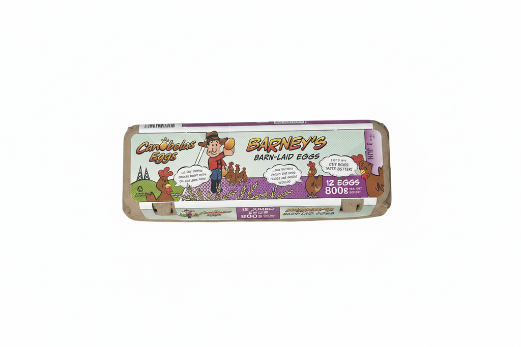 Barney's 12 Jumbo Eggs - Top View Rotated