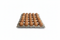 Brown Eggs - Front View