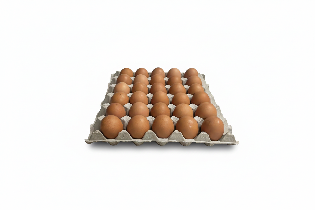 Brown Eggs - Front View