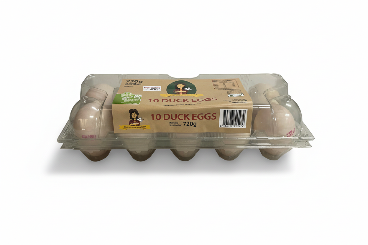 Duck Eggs - Front View with Shadow