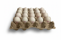 Eggs with Stamps - Cleaned